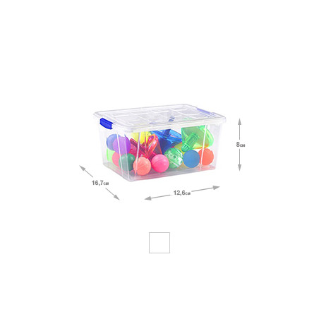 Caixa de Plástico 12,6x16,7x8cm - 1 Litro: Organização e praticidade em um só produto!