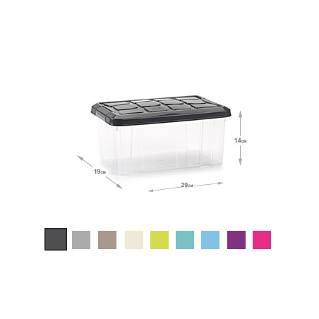 Caixa Plástica de 5 Litros nas cores sortidas - Organize seu espaço com estilo!