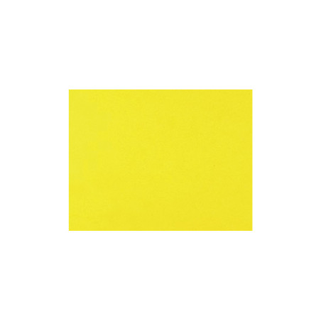 Cartolina de Qualidade Premium Girassol Amarelo 50x65cm - Ideal para Artes e DIY!