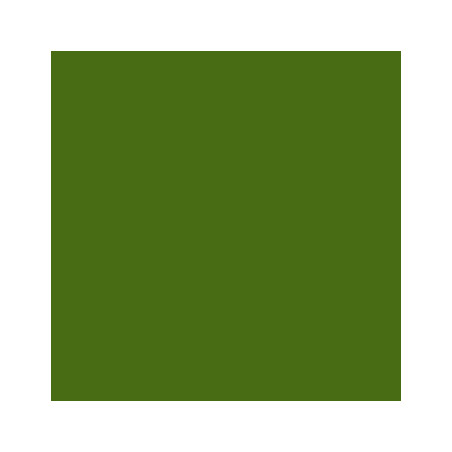 Papel Cartolina A4 Verde Safari 185g: Kit com 50 Folhas de Excelente Qualidade - Papelaria de Luxo para seus Projetos!