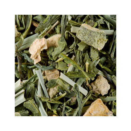 Chá Verde a Granel Fidji Vert 1Kg